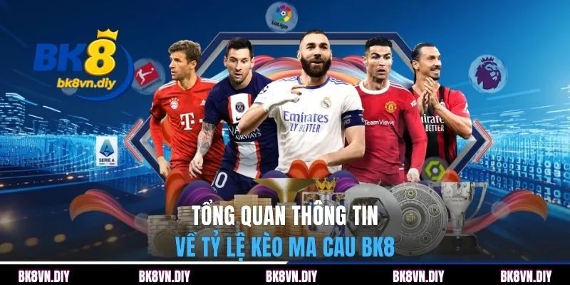 Tổng quan thông tin về tỷ lệ kèo ma cau BK8